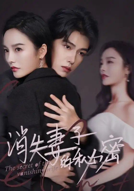 消失妻子的秘密（60集）李胜楠 - 年糕资源网-年糕资源网