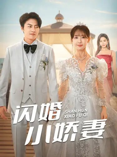 闪婚小娇妻（102集）房蕾 - 年糕资源网-年糕资源网