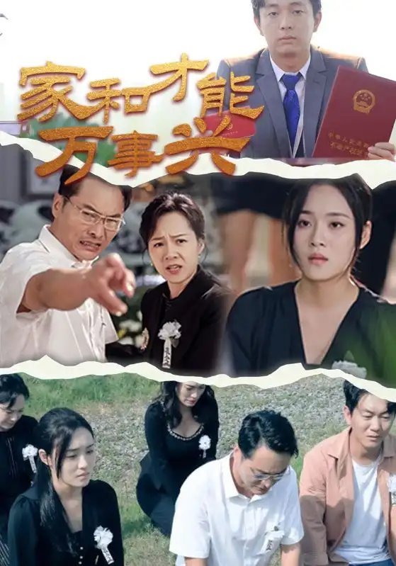 家和才能万事兴（30集） - 年糕资源网-年糕资源网