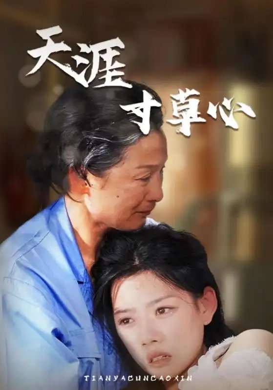 天涯寸草心（76集）陈思琦 - 年糕资源网-年糕资源网