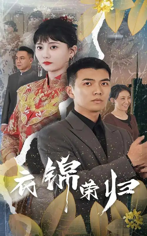 衣锦荣归（81集） - 年糕资源网-年糕资源网