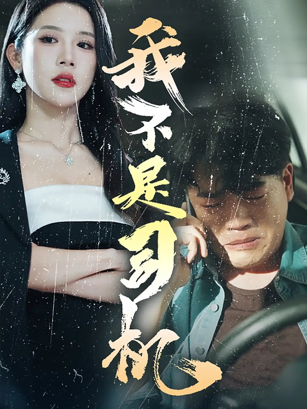 我不是司机（61集）林绮婷 - 年糕资源网-年糕资源网