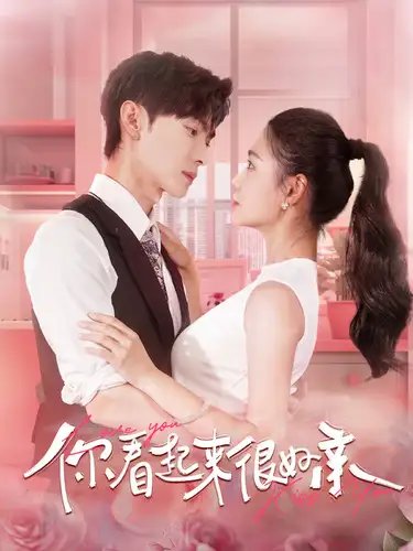 你看起来很好亲（100集） - 年糕资源网-年糕资源网