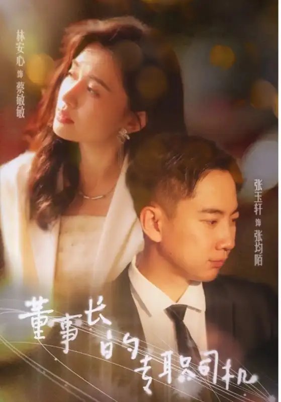 董事长的专职司机（51集） - 年糕资源网-年糕资源网