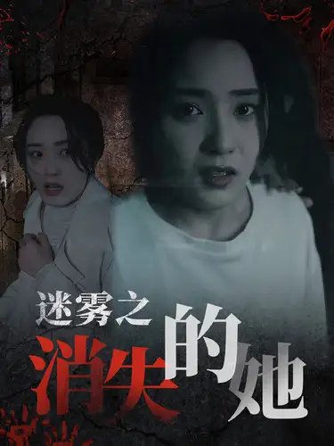 迷雾之消失的她（73集） - 年糕资源网-年糕资源网