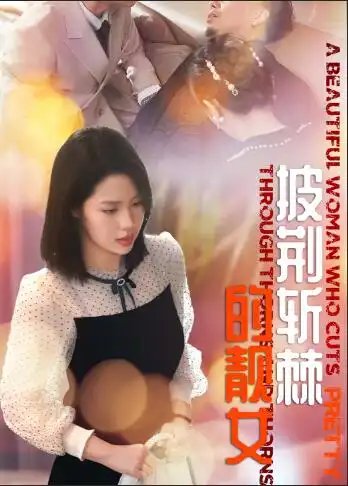 披荆斩棘的靓女（29集） - 年糕资源网-年糕资源网