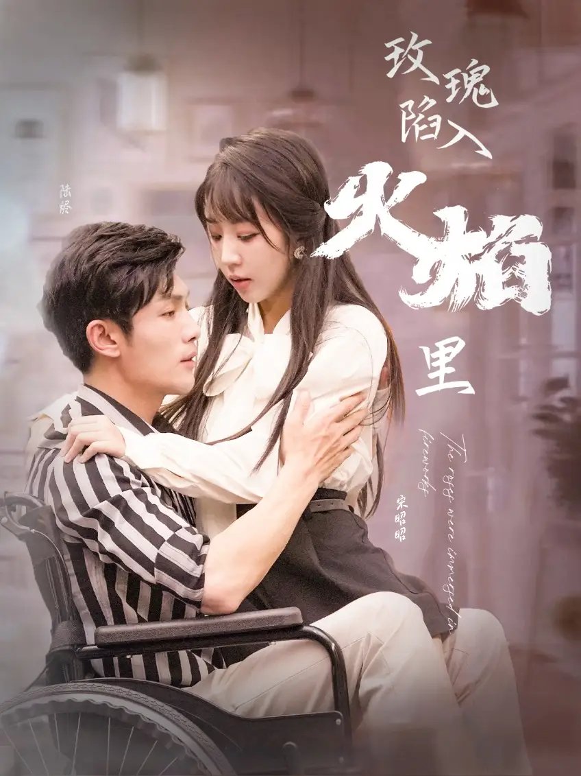 玫瑰陷入火焰里（100集）彭丹丹 - 年糕资源网-年糕资源网