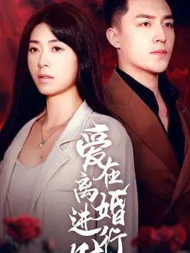 爱在离婚进行时（61集） - 年糕资源网-年糕资源网