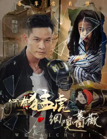 心有猛虎细嗅蔷薇（65集） - 年糕资源网-年糕资源网