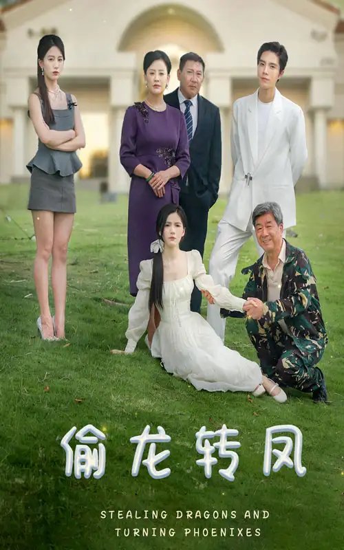 偷龙转凤（80集） - 年糕资源网-年糕资源网