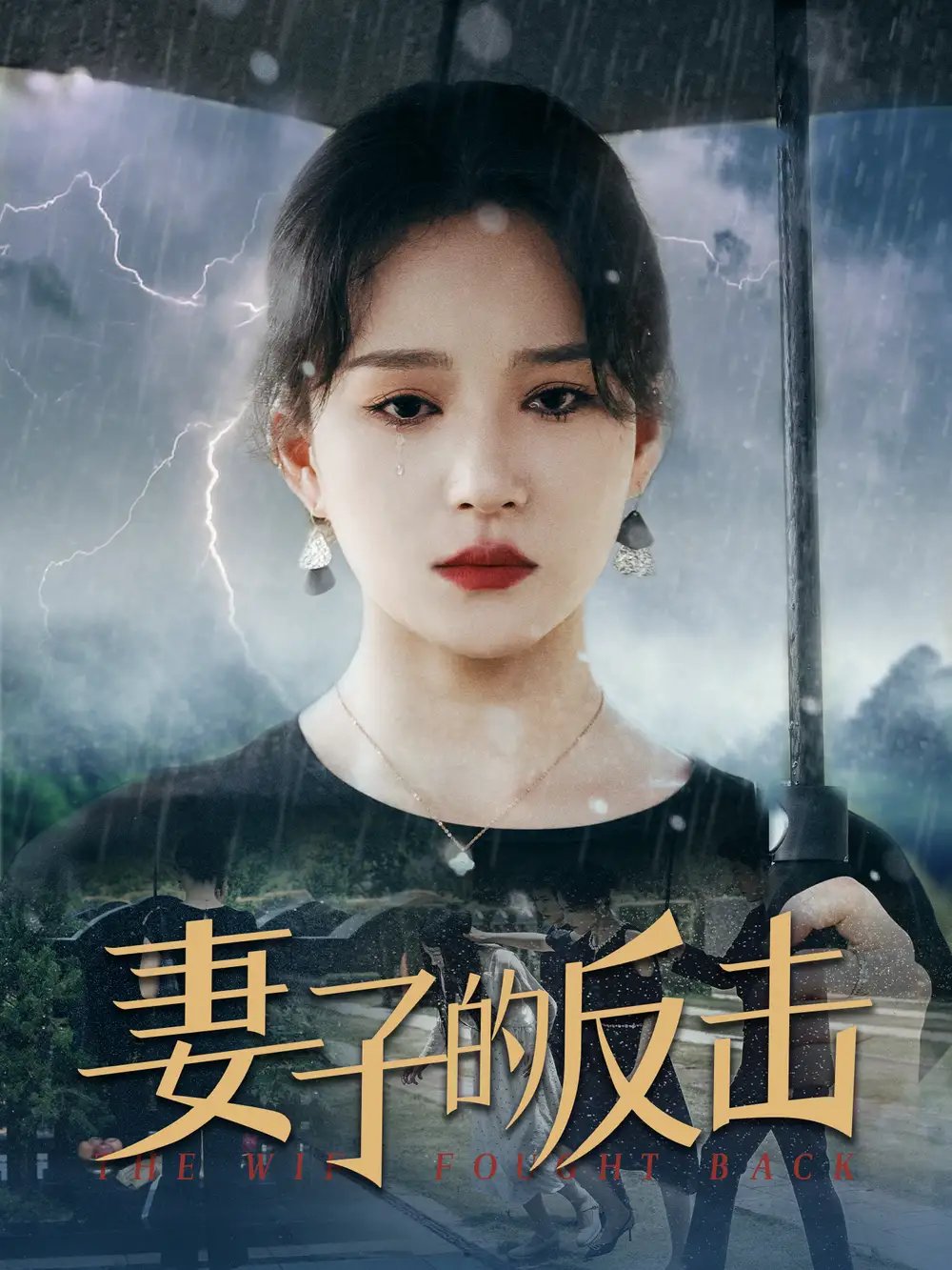 妻子的反击（34集） - 年糕资源网-年糕资源网
