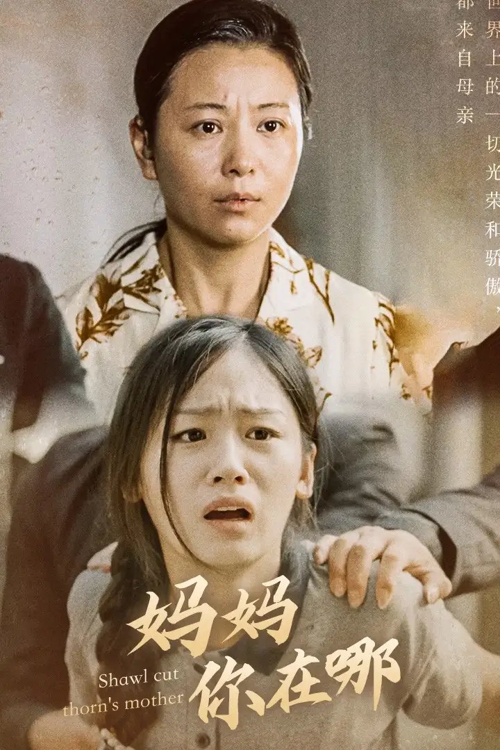 妈妈你在哪&春风不改旧时波（70集） - 年糕资源网-年糕资源网