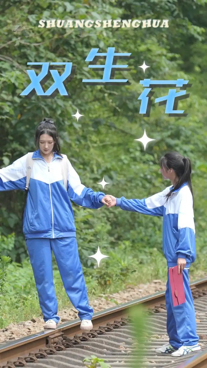 双生花（36集） - 年糕资源网-年糕资源网