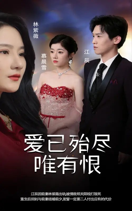 爱已殆尽唯有恨（61集） - 年糕资源网-年糕资源网