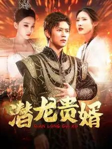 潜龙贵婿（89集） - 年糕资源网-年糕资源网