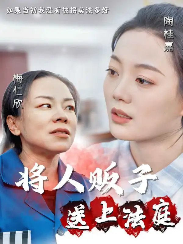 将人贩子送上法庭（30集） - 年糕资源网-年糕资源网