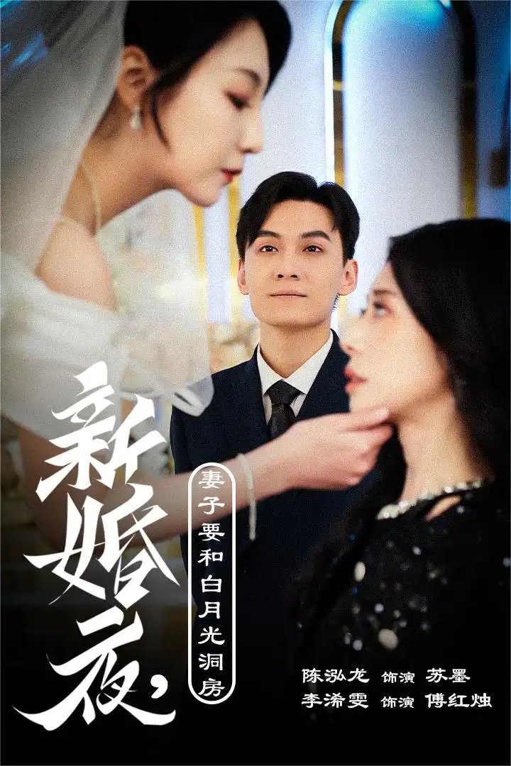 新婚夜，妻子要和白月光洞房&礼尚往来（30集） - 年糕资源网-年糕资源网