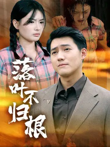 落叶不归根（54集） - 年糕资源网-年糕资源网
