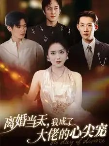离婚当天，我成了大佬的心尖宠（60集） - 年糕资源网-年糕资源网