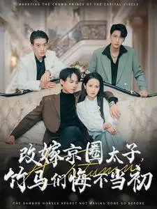 改嫁京圈太子，竹马们悔不当初（30集）王蔼玲 - 年糕资源网-年糕资源网