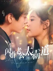 闪婚老公太霸道（100集） - 年糕资源网-年糕资源网