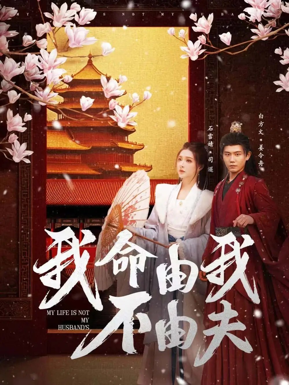 我命由我不由夫（75集）白方文&石雪婧免费短剧夸克网盘资源全集 - 年糕资源网-年糕资源网